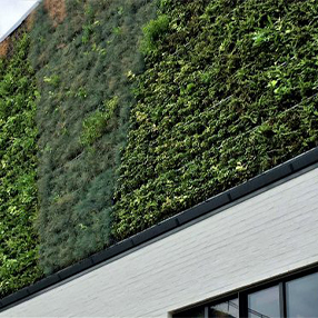 Vi introducerer Danmarks største plantevæg